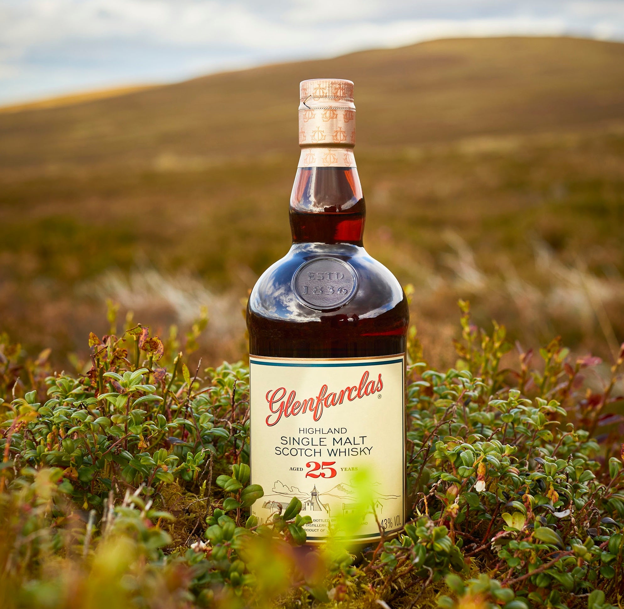 Glenfarclas 25 Year Old Single Malt Scotch Whis