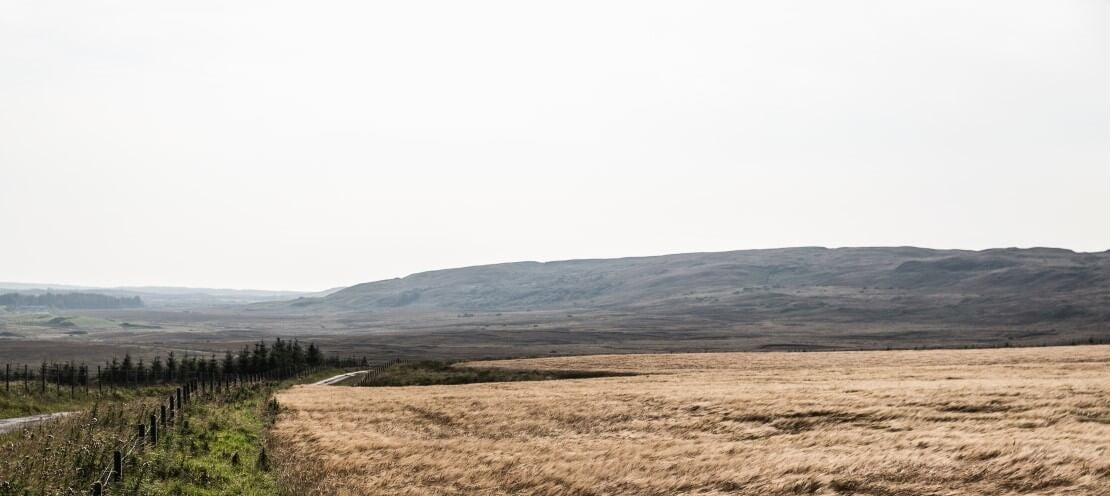Lowland