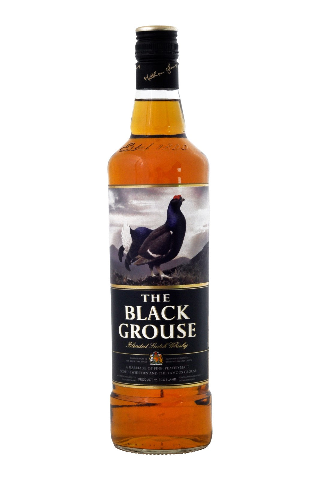 The Black Grouse