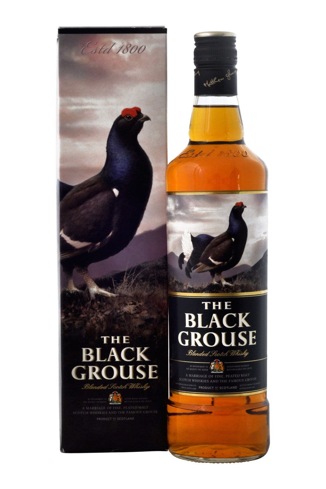 The Black Grouse