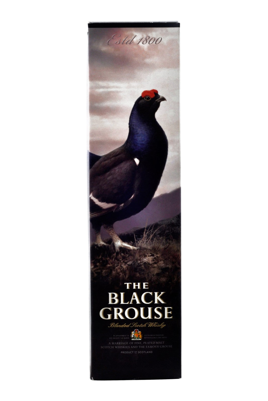 The Black Grouse