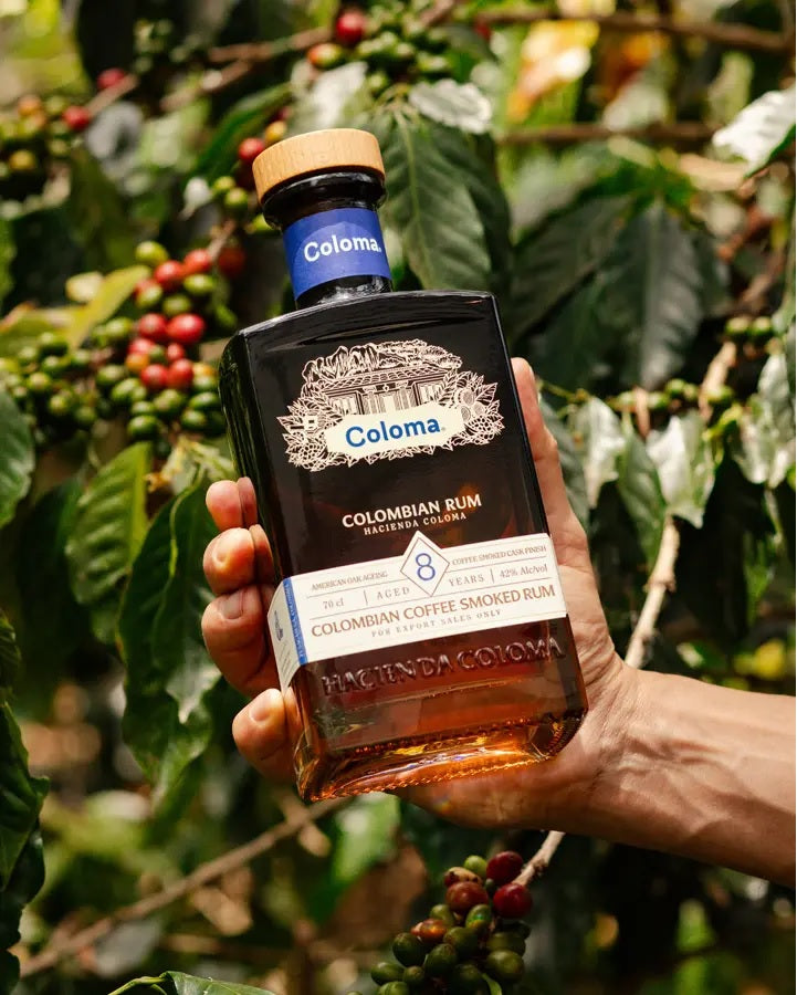 Coloma 8 Year Old Coffee Smoked Rum | Premium Colombian Rum | Espresso & Oak Finish