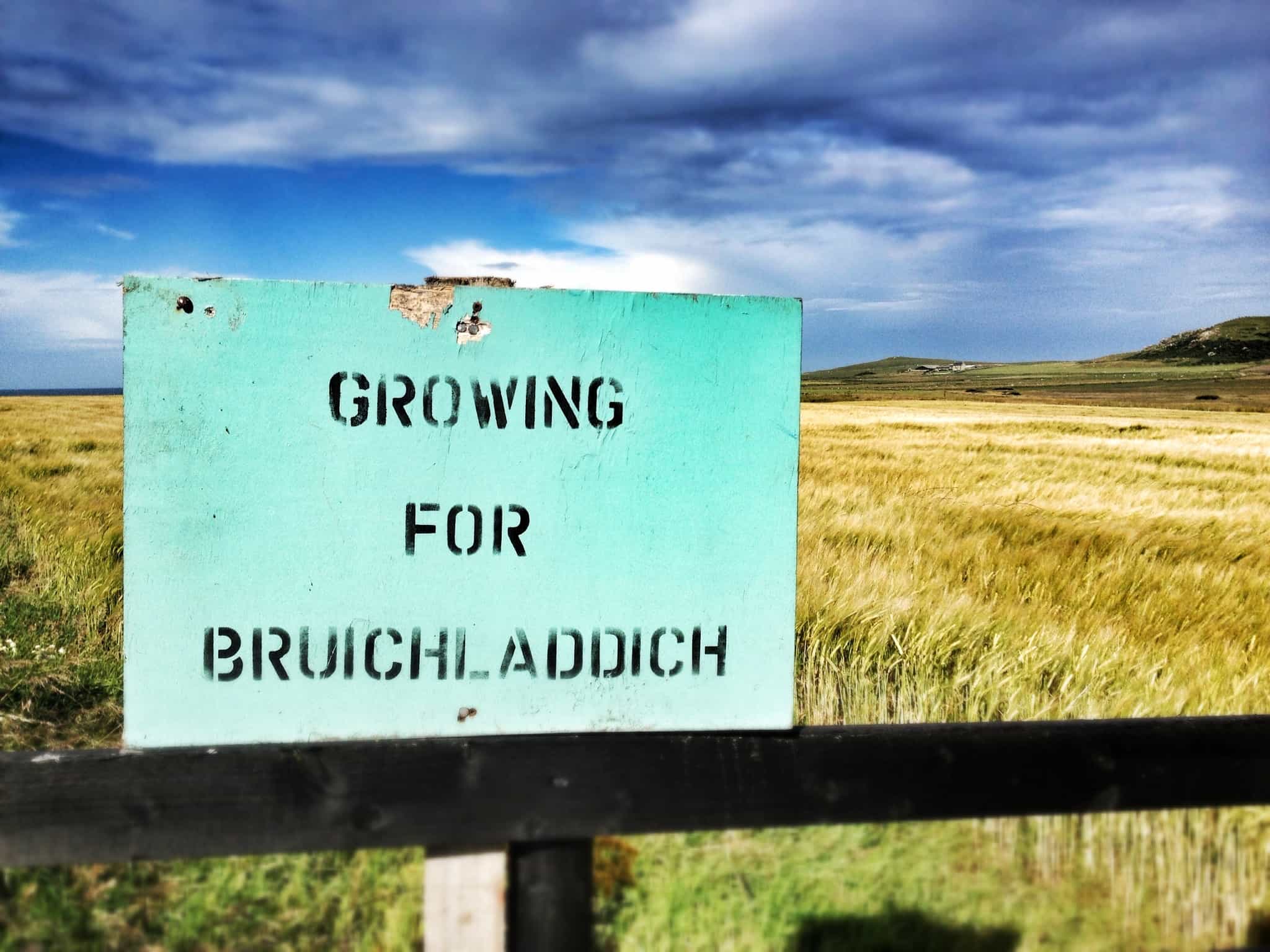 Growing for Bruichladdich: The Organic 2009