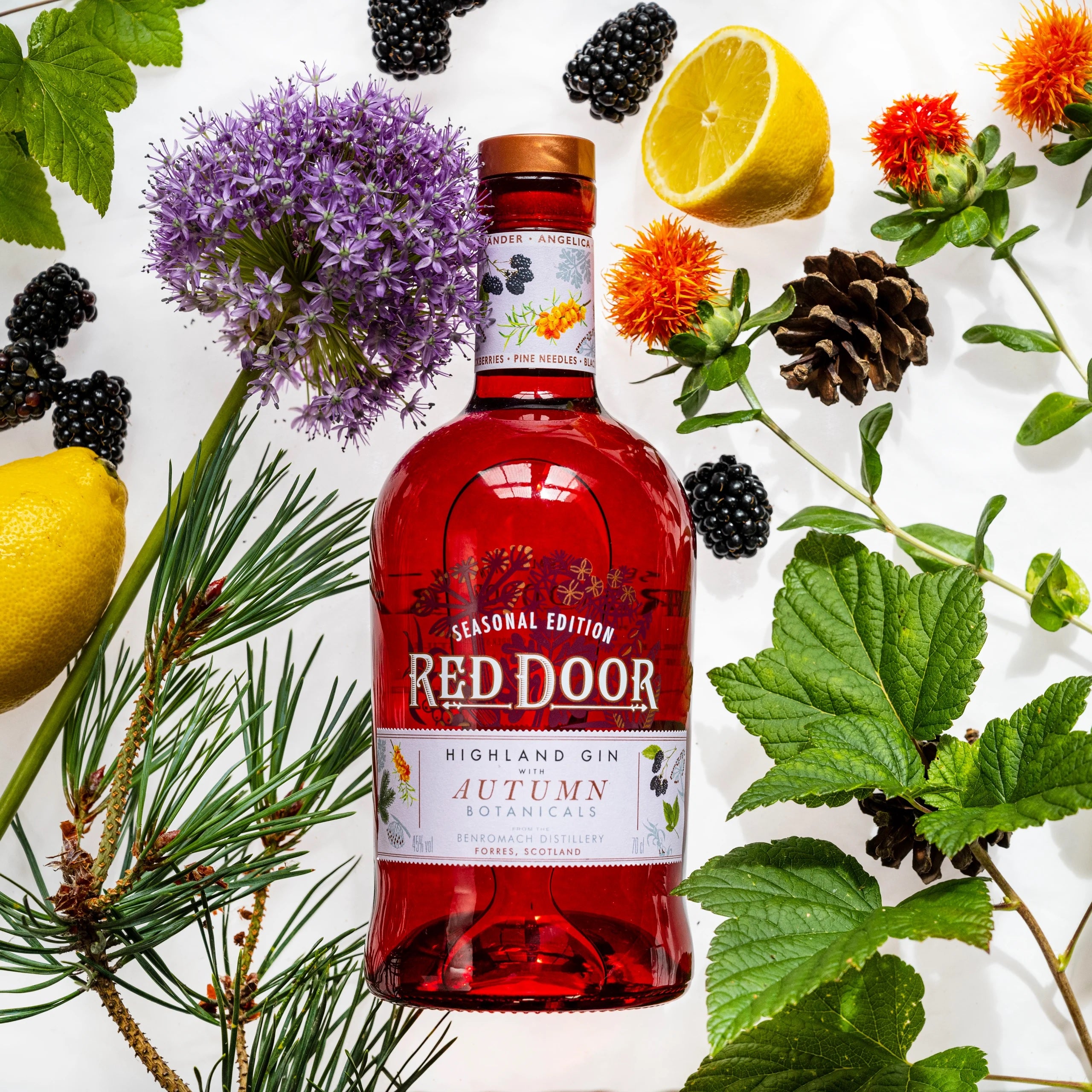 Introducing Red Door Highland Gin: Autumn Botanicals